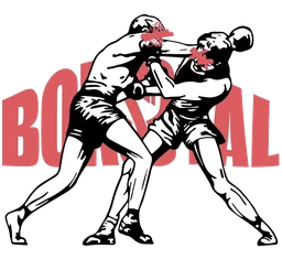 Logo Studio Boksstal