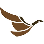 Logo appsilon