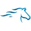 Logo HORSE CROWN