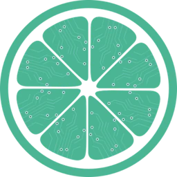 Logo LIMA CONSULTANCY
