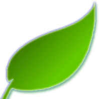 Logo IT Meadows