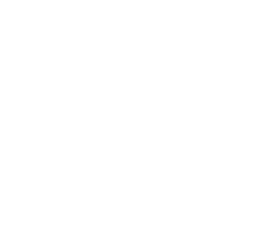 Logo STRATTON MAES