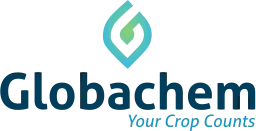 Logo GLOBACHEM