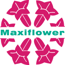 Logo MAXIFLOWER