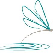 Logo Positiv'eau