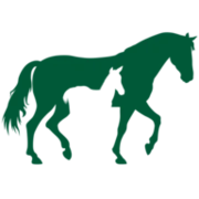 Logo LVP-STABLES