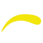 Logo BruNetto