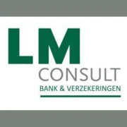 Logo L&M CONSULT