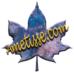 Logo Amétisse