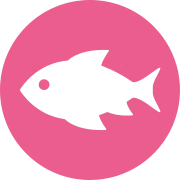Logo AMEAUR