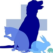 Logo VET33