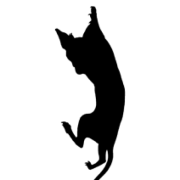 Logo KATSALON