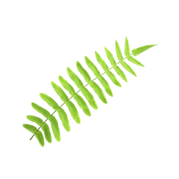 Logo ECO - JARDIN