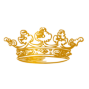 Logo DOLFIN