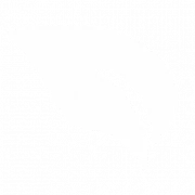 Logo NASIP