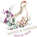 Logo CLOVA