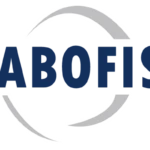 Logo MBF ACCOUNTANT