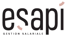 Logo ESAPI
