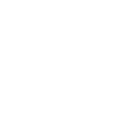 Logo DEL DIFFUSION