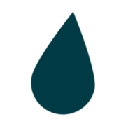 Logo Topforce