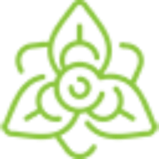 Logo Van Roy Wendy