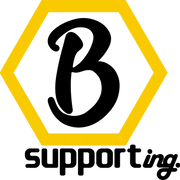 Logo DE SCHRYVER – DE KEMPENEER