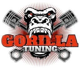 Logo GT PERFORMANCE