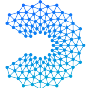 Logo Digital Leadership Institute