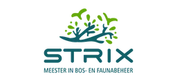Logo STRIX EDU