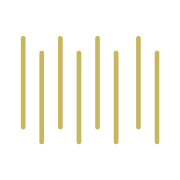 Logo PRAKTIJK NAENEN