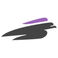 Logo Falcon Group Holding
