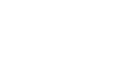 Logo Avionics Namur