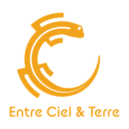 Logo ECT COOP