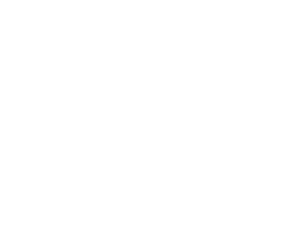 Logo F.FILIZOLA