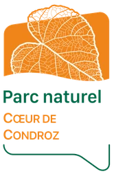 Logo Clé Bois