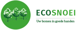 Logo ECOSNOEI