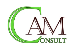 Logo AM CONSULT
