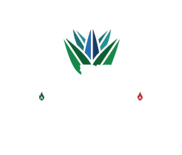 Logo QUE BUENO