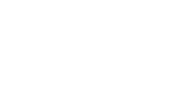 Logo FYSS