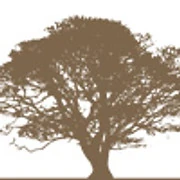 Logo Parket Swaegers