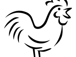 Logo DIMATTO