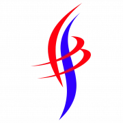 Logo P en W SERVICE