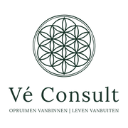 Logo Vé Consult