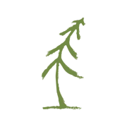 Logo THE BOOK