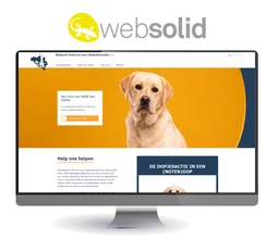 Logo WEBSOLID