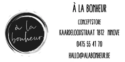 Logo ModifEye