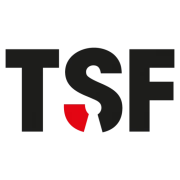 Logo The Security Factory