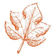 Logo SAVOIE