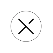 Logo LEXSON BRANDS