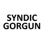 Logo SYNDIC GORGUN